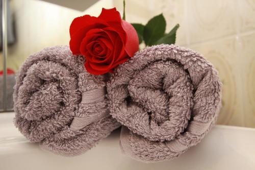 贝旺Haus Schöne Aussicht的红玫瑰坐在毛巾上
