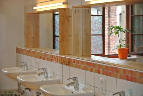 海德堡斯海德堡斯特菲旅舍的浴室设有3个水槽和2面镜子
