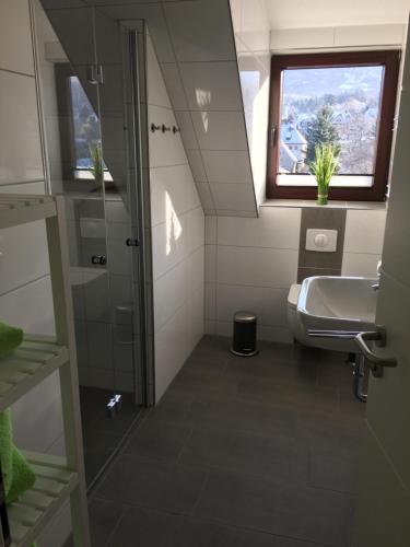 韦尼格罗德Harzer Ferienlodge的一间带水槽和卫生间的浴室以及窗户。