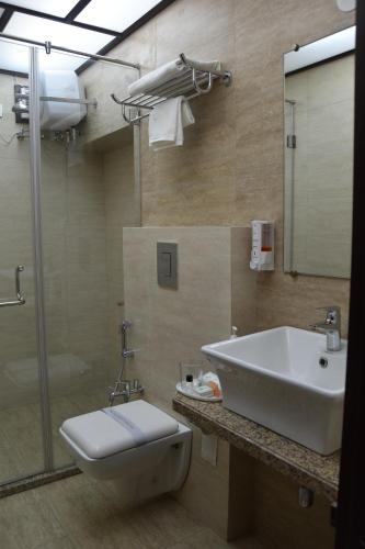 斋浦尔Jaipur Hotel New - Heritage Hotel的一间带水槽、卫生间和淋浴的浴室