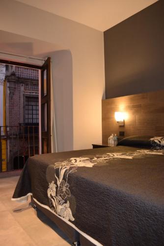 普埃布拉Hotel Sofia的一间卧室配有一张床,享有建筑的景色