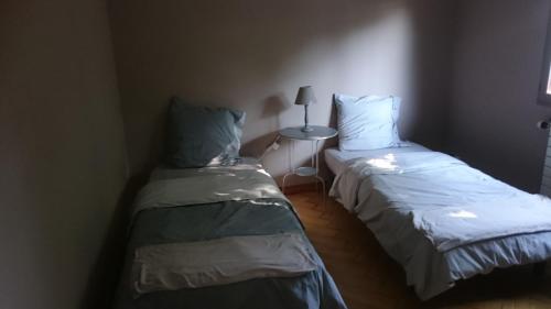 QuinsacLe Gîte的配有灯的小客房内的两张床