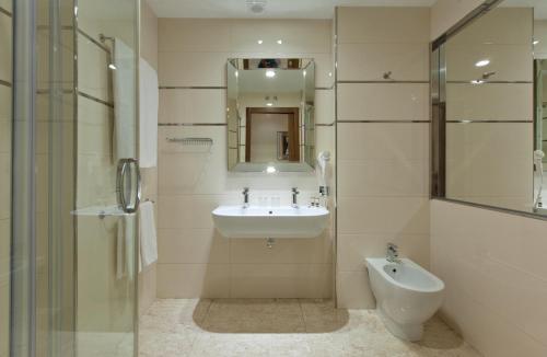 萨拉曼卡科隆纳索尔大酒店的一间带水槽、镜子和卫生间的浴室