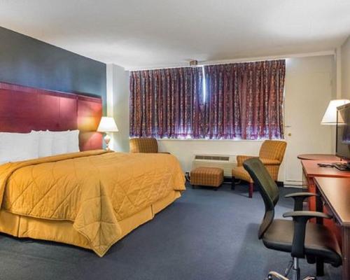 史密斯福尔斯史密斯瀑布环保小屋酒店的配有一张床和一张书桌的酒店客房