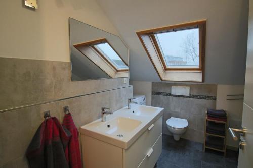 吕讷堡City-Apartment - Lüneburg Schwalbengasse的浴室配有盥洗盆、卫生间和天窗。
