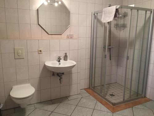 Wriezen瑞德维格旅馆的带淋浴、卫生间和盥洗盆的浴室