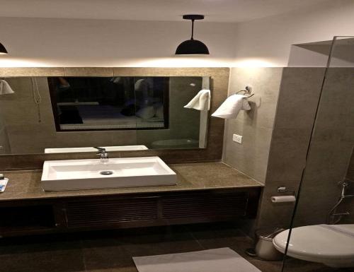 卡尔吉尔Hotel The Kargil的一间带水槽、镜子和卫生间的浴室