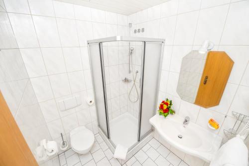 WindsbachLandgasthof Schwarz的带淋浴、卫生间和盥洗盆的浴室