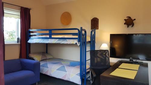 威克洛Hilltop Seaview Apartment的一间卧室配有双层床和电视