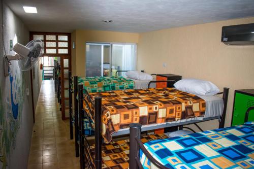 普罗格雷索Hostel Áabilo'ob的带4张双层床和走廊的客房