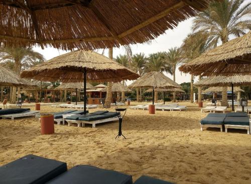 艾因苏赫纳Palmera El Sokhna Chalets Families Only的沙滩上,有草伞和躺椅