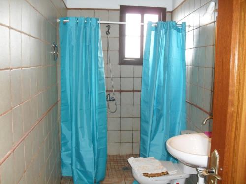 巴列埃尔莫索Casa Rural Arguamul的浴室设有蓝色的浴帘和水槽
