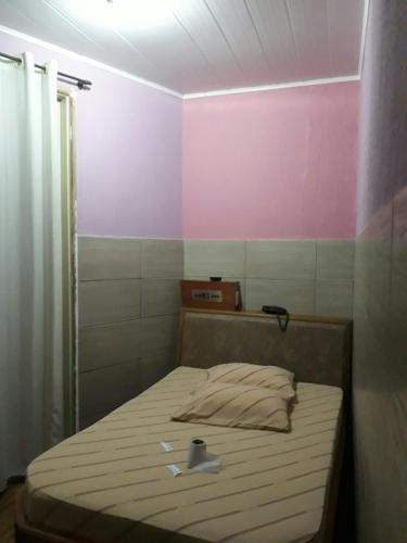 圣保罗Hotel bom retiro的一间卧室配有一张床和粉红色的墙壁
