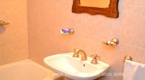 萨尔塔查瓦斯公寓式酒店的一间带水槽、卫生间和镜子的浴室