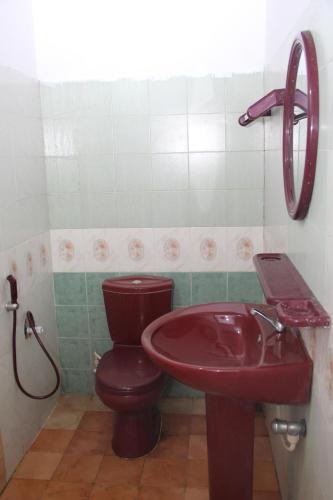 阿努拉德普勒Kingfisher Hostel的一间带红色盥洗盆和卫生间的浴室