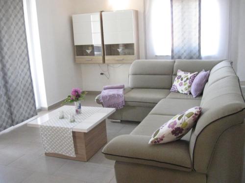 罗波里卡Ane Apartment的带沙发和咖啡桌的客厅