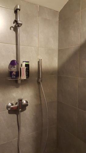 Grez-DoiceauAu Fond des Rys的浴室内带软管的淋浴