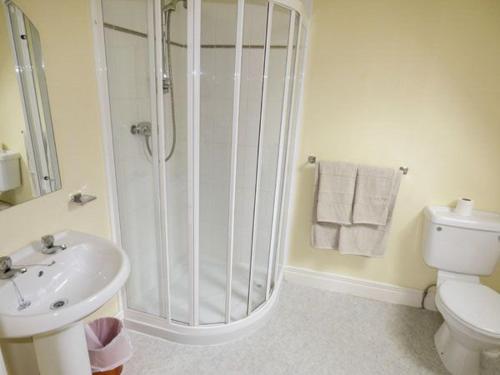 ClonburMaison de Kilbride Finney Clonbur Mayo的带淋浴、卫生间和盥洗盆的浴室