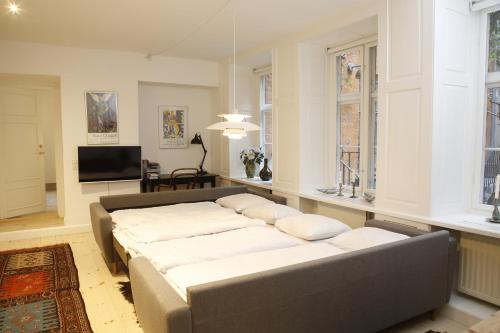 哥本哈根哥本哈根公寓的带沙发和电视的客厅