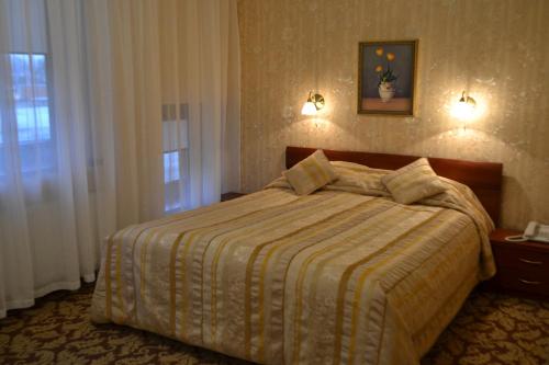 希卢泰Gilija的一间卧室配有一张带条纹毯子的床和窗户