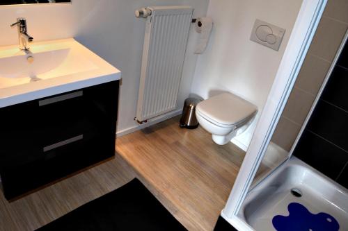 鲁汶Nena Guesthouse的浴室配有卫生间、盥洗盆和淋浴。