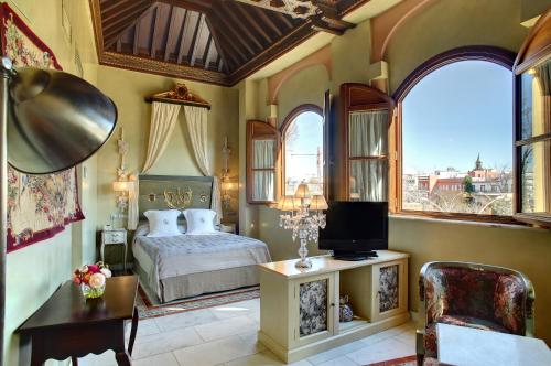 塞维利亚圣安娜圣器珍贵酒店的一间卧室配有一张床,并在一间客房内配有电视。