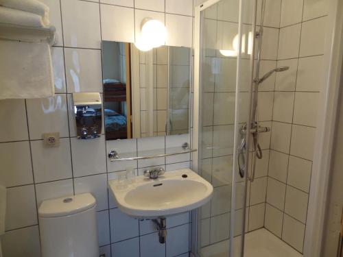 奥斯坦德奥策洛特酒店的一间带水槽和淋浴的浴室