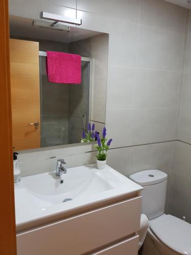 阿尔姆尼卡Apartamento centrico的一间带水槽、卫生间和镜子的浴室