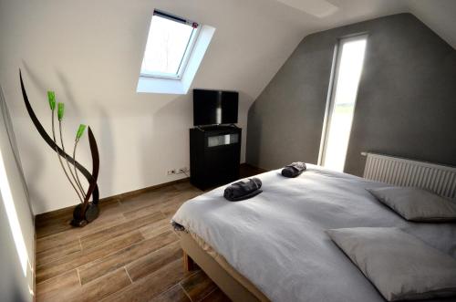 萨尔特-雷斯温泉Le Duplex de la Raveline的一间卧室设有一张床和一个窗口