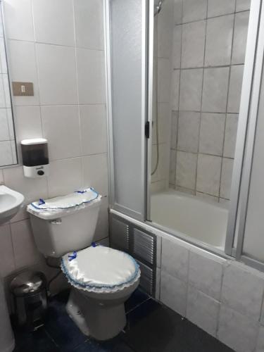 卡拉马Hotel Aymara的浴室配有卫生间、淋浴和盥洗盆。