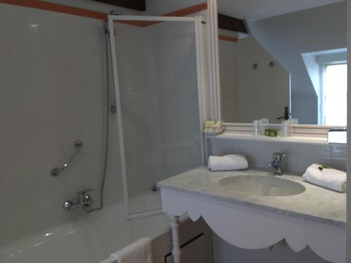 Yvoy-le-MarronLogis Hôtel Auberge du Cheval Blanc的一间带水槽和淋浴的浴室