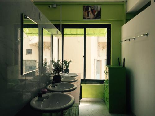 科伦坡科伦坡市中心猴子背包客旅馆 的绿色墙壁浴室里的一排水槽