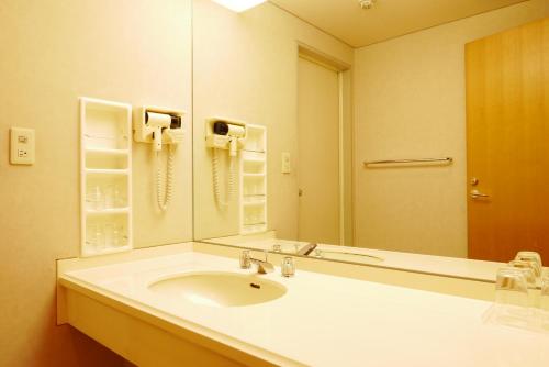 所泽市掬水亭旅馆的一间带水槽和大镜子的浴室
