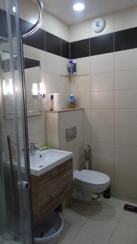 瓦乌布日赫Walbrzych - przytulne, nowe mieszkanie的浴室配有卫生间、盥洗盆和淋浴。