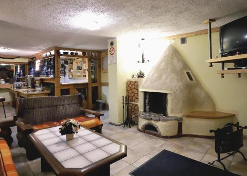 耶莱希尼亚Pensjonat Tara的带沙发和壁炉的客厅