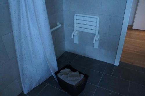Champ-du-Moulin德拉特鲁特酒店的带淋浴的浴室,配有一篮毛巾