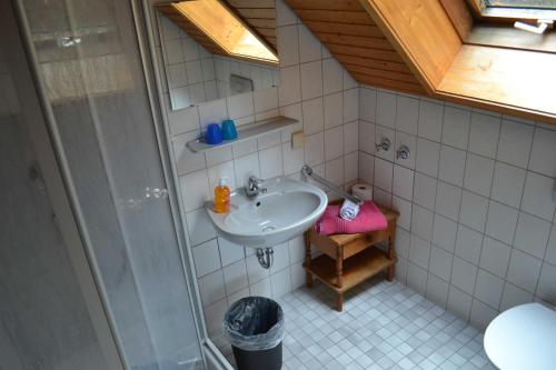 欧斯巴赫Gaestehaus Tagescafe Eckenfels的一间带水槽和淋浴的浴室