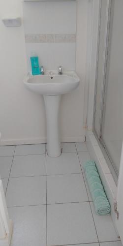 伊丽莎白港Humewood Home Stay的白色的浴室设有水槽和淋浴。