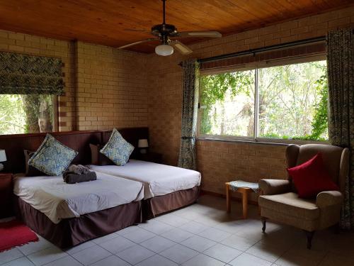 米德兰Crocodile Lodge cc的一间卧室配有一张床、一张沙发和一个窗口