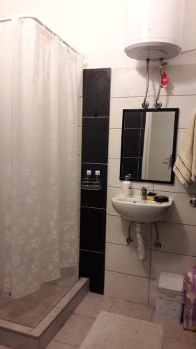 巴尼亚卢卡Rooms Adrijana的带淋浴、盥洗盆和镜子的浴室