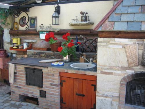 Türi马瑞扎酒店的一个带水槽和壁炉的户外厨房