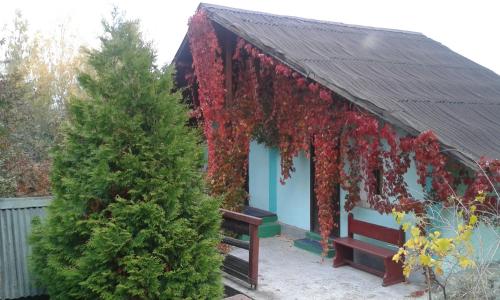 奥内什蒂帕拉迪苏尔索菲里罗营地旅馆的一座用长凳和树遮盖的红色常春藤建筑