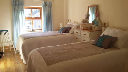 利默里克Hazel Cottage的一间卧室设有两张床和窗户。