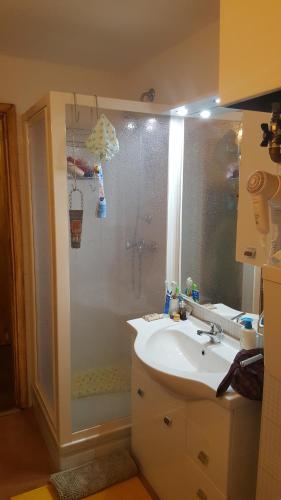 帕苏德尔托纳莱Eco Relax的带淋浴和白色盥洗盆的浴室
