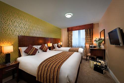 利默里克乔治利默里克酒店的酒店客房设有两张床和电视。