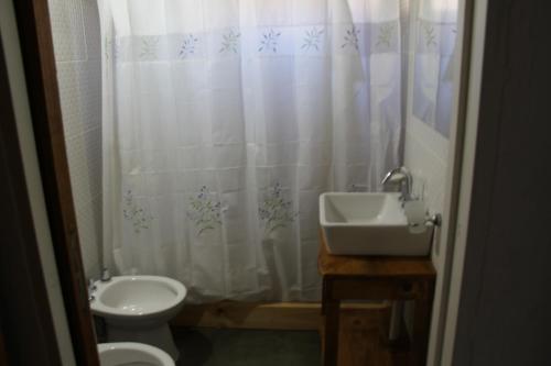 阿卢米内Montaña Negra的浴室配有水槽、卫生间和浴帘