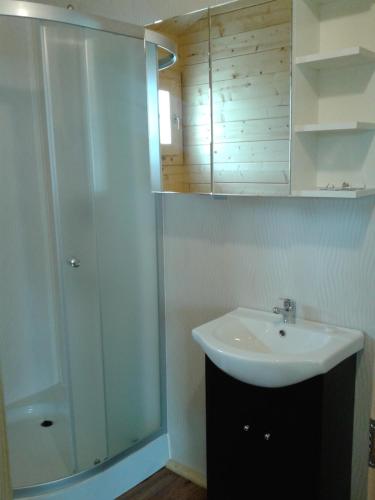 尤斯托尼莫斯基Abigabis的一间带水槽和淋浴的浴室