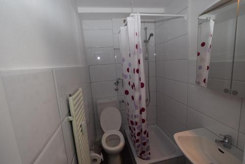 斯图加特Apartment Gablenberg的浴室设有卫生间和带有心帘的淋浴帘。