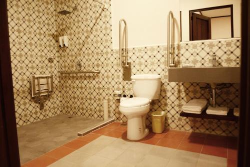 莱昂Hotel La Recolección的一间带卫生间、水槽和镜子的浴室