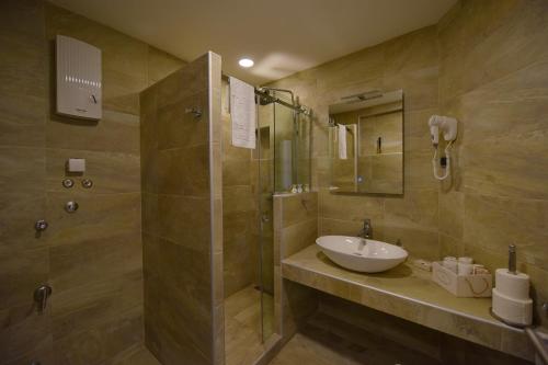 贝尔格莱德Apartman Centar Bg的一间带水槽和淋浴的浴室
